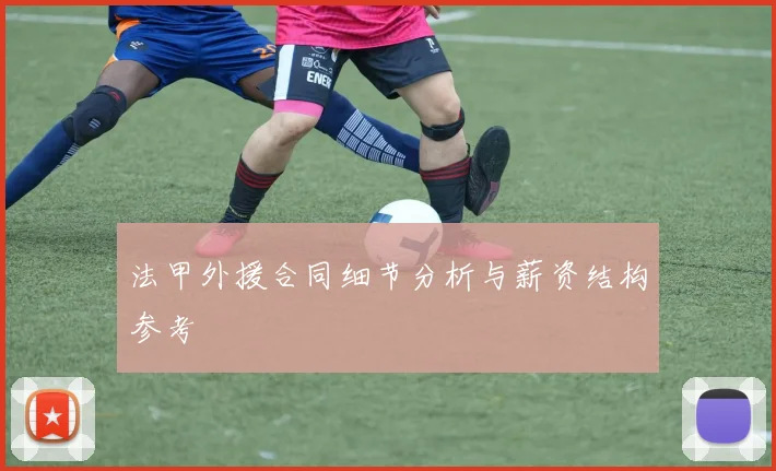 法甲外援合同细节分析与薪资结构参考