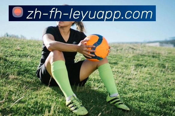 乐鱼体育平台生态图