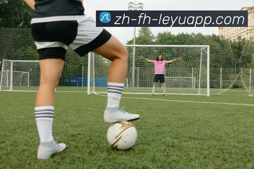 乐鱼体育APP 封面图